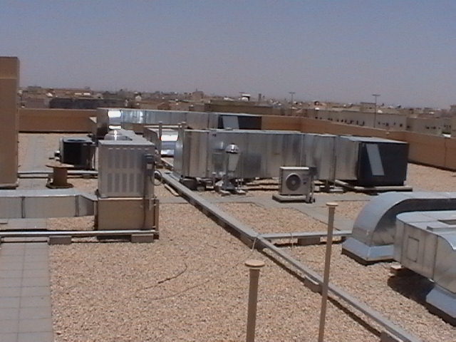 IMGA0292.jpg