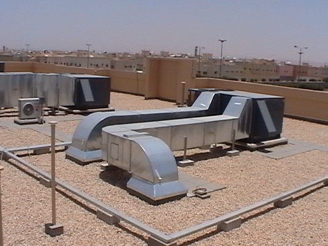 IMGA0293.jpg